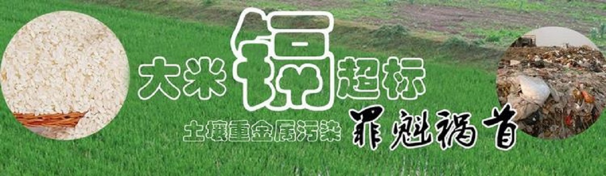 舌尖上的安全感悟,舌尖上的安全全册