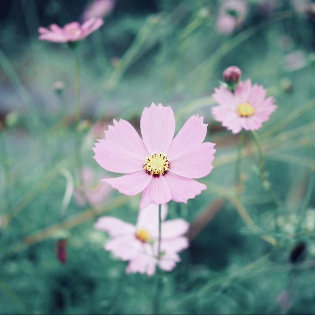 从不爱整理到收纳上瘾,断舍离收纳整理极简生活