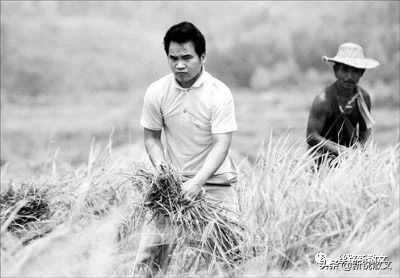 80年代农村换亲故事,农村说媒相亲段子