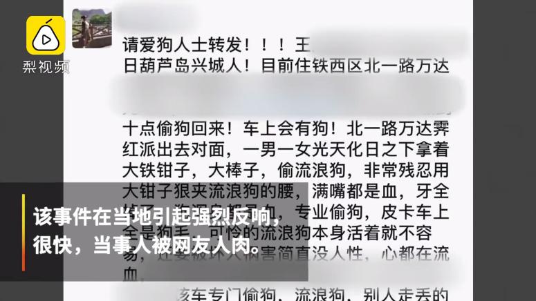 沈阳男女当街扑杀流浪狗,沈阳一男女当街抓狗
