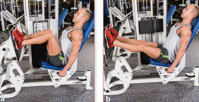 增肌一周各部位训练计划表,增肌训练计划每天练习不同部位