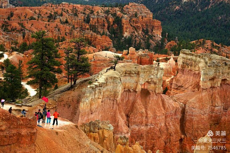 鍖楃編鏋儏闃虫柊,鍖楃編鏋儏鍥剧墖