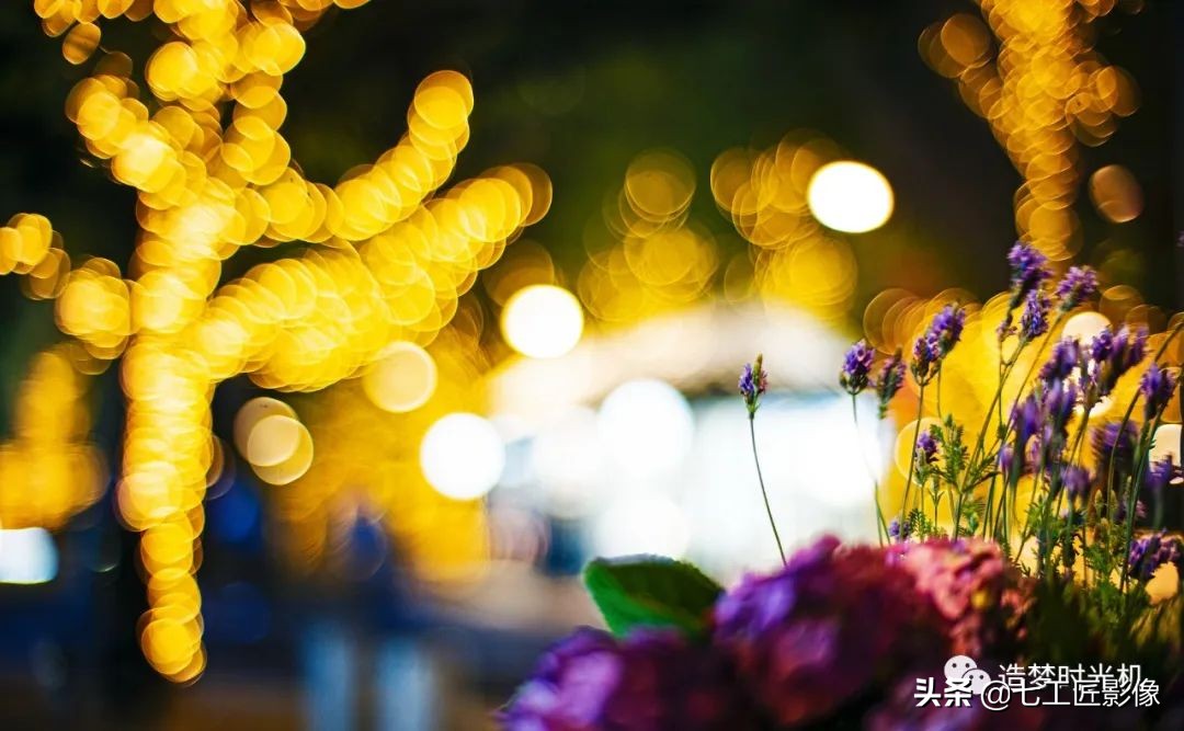 趣味体验测试,七工匠50mmf1.8夜神镜头