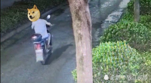 变态!杭州55岁中年男子专挑美女袭胸,竟然还是多次犯案