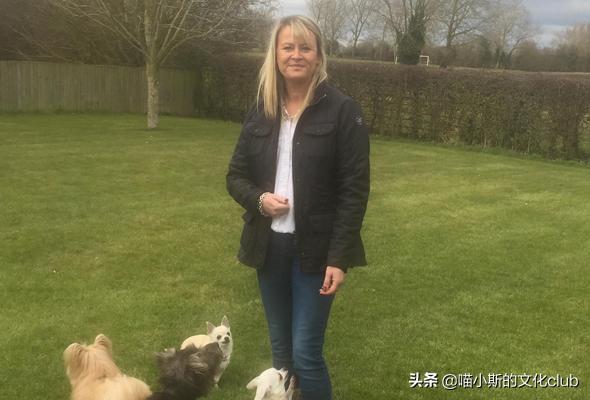 哈利波特中的虎斑猫是谁,哈利波特的黑狗是谁