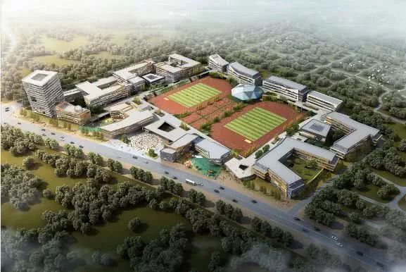 沈阳长白岛最好的学区是哪个,沈阳哪的学区最好