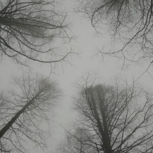 快速适应环境的方法,努力适应不适应的环境