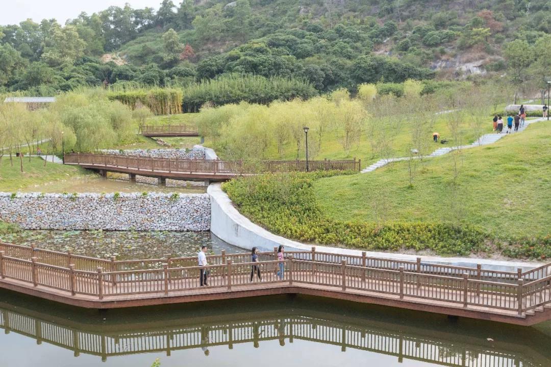 簕竹杜鹃谷公园,好看的杜鹃谷公园