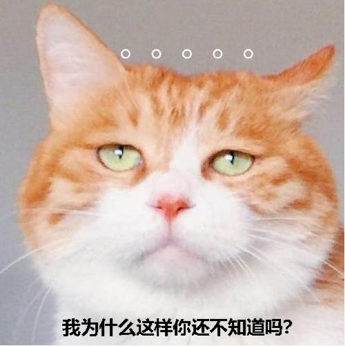 猫咪尿液除臭小苏打的使用方法,猫咪往床上尿尿了买什么除臭