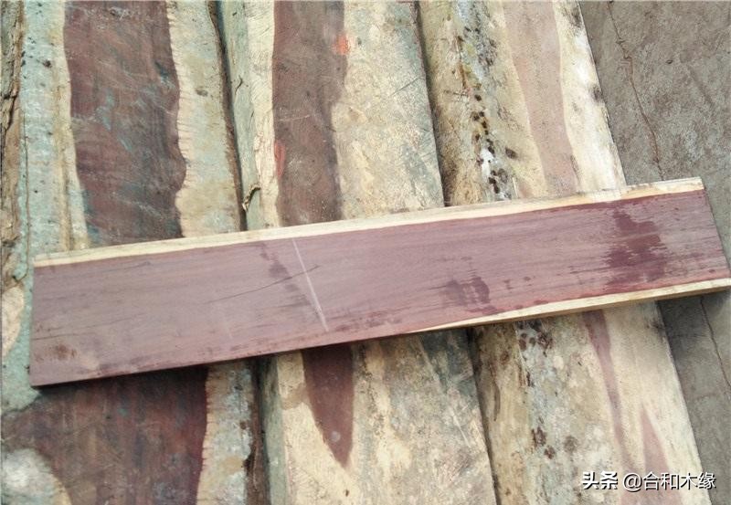 所罗门大叶紫檀和卢氏黑黄檀,黑檀与大叶紫檀哪个更好