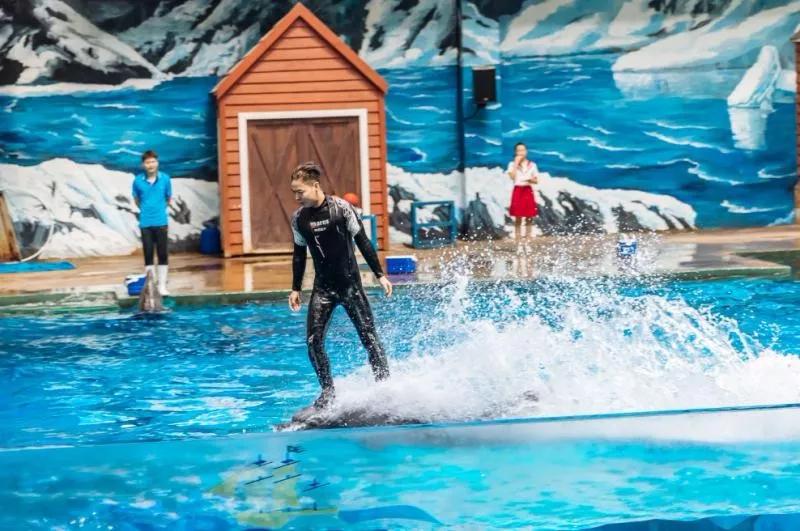 西安圣诞节礼物在哪买,西安圣诞节礼包免费领取