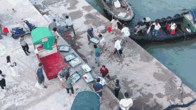 比顺德潮汕还生猛!广东这座小城又撩又骚,现在去正是好时机