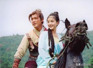 大唐双龙传宇文化及武功,大唐双龙传武功秘籍大全