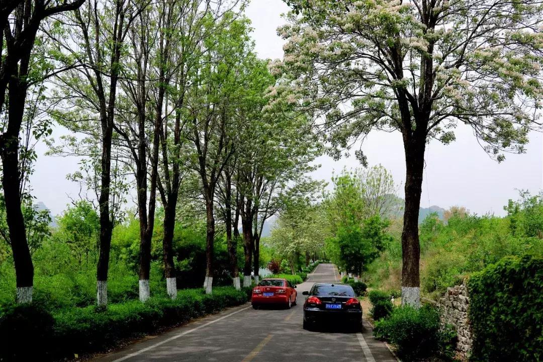临朐石门坊风景区介绍视频,临朐石门坊风景区海拔