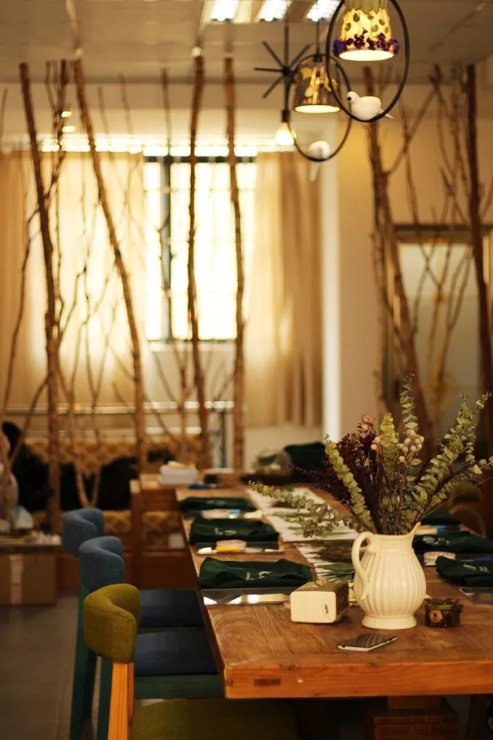 她31岁放弃北漂,回归自然,用枯枝败叶,打造了一个梦幻森林