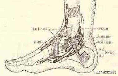 陈旧性踝关节损伤的治疗,踝关节损伤现场处理视频