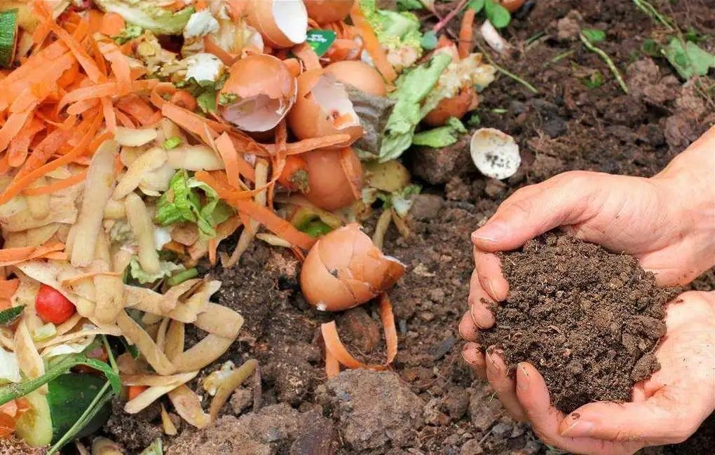 施肥手法,施肥技术和方法