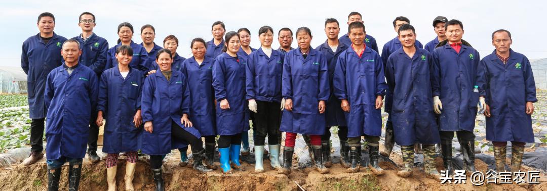 喜报荣获省级称号,喜报获金奖