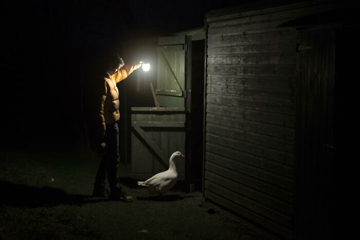 网友随手一拍却很惊艳的图,网友拍摄绝美光影瞬间