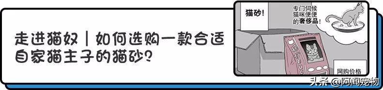 上班族怎么让猫白天活动夜晚休息,上班后怎么缓解猫的孤独