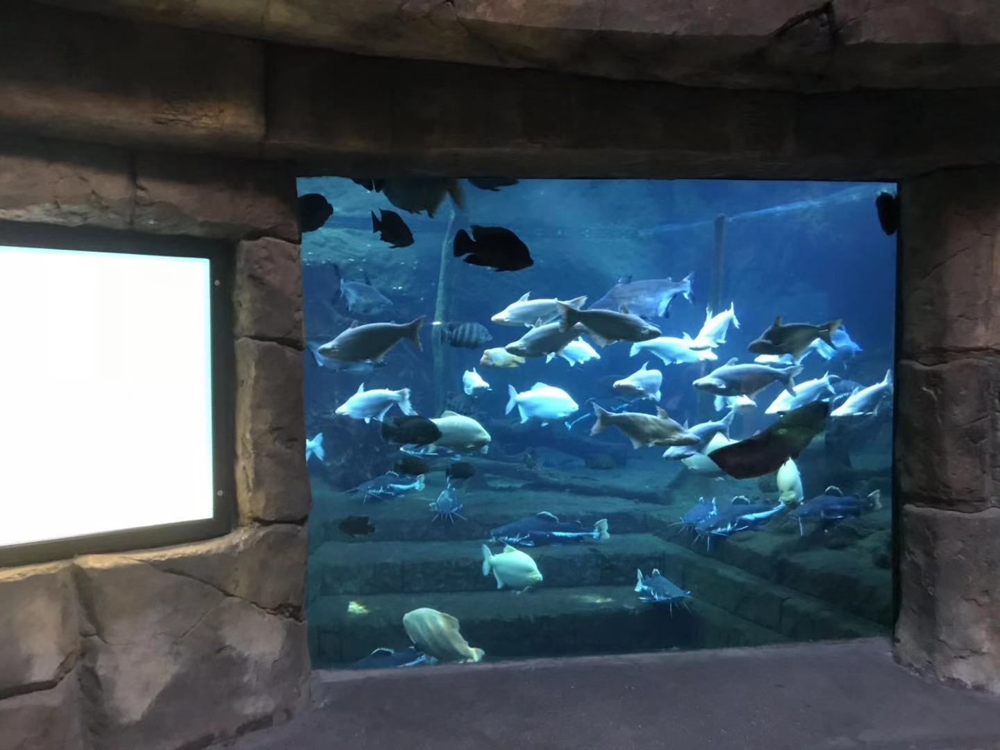 珠海长隆海洋王国亲子攻略2岁,亲子珠海长隆海洋王国一日游攻略