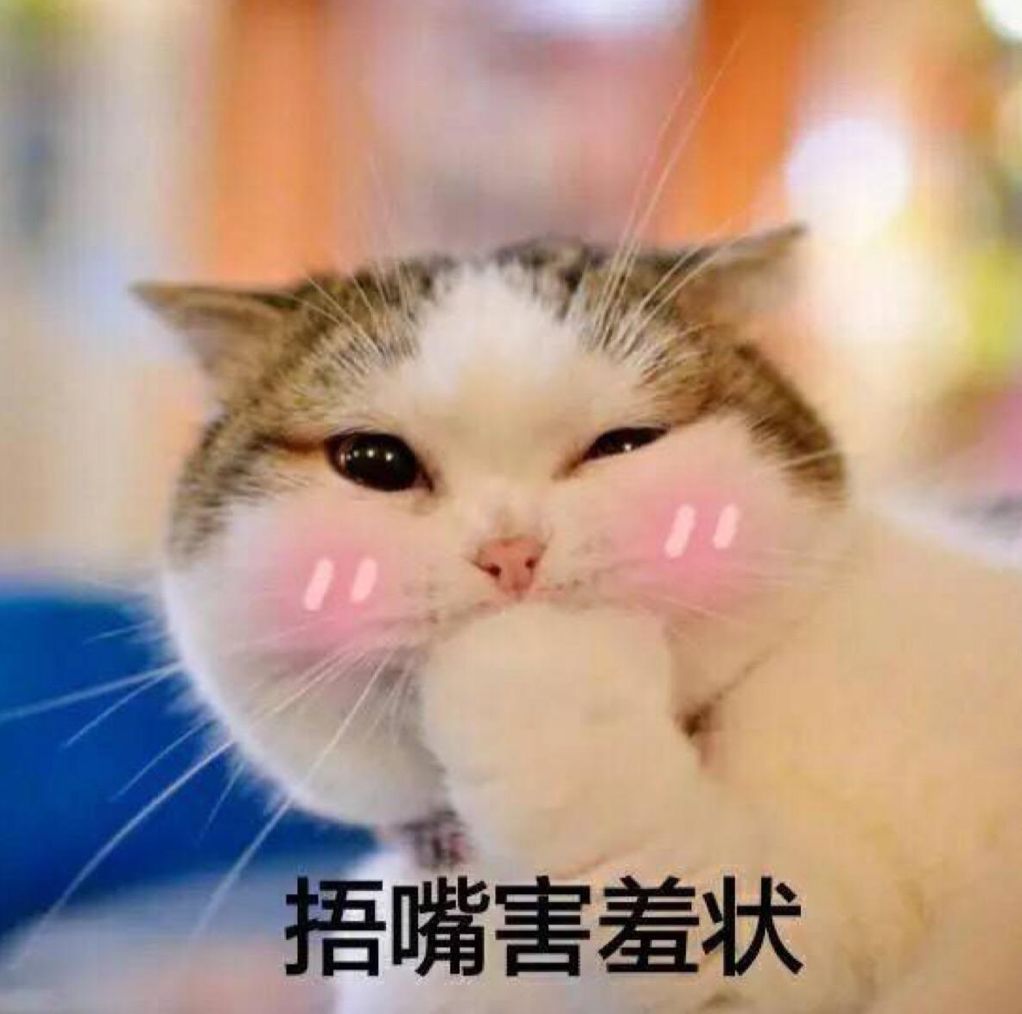 宠物店办理会员卡一般哪个系统,宠物店会员卡服务流程