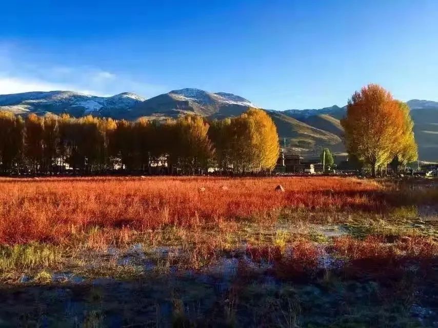 什么时候去稻城最好,什么时候去稻城