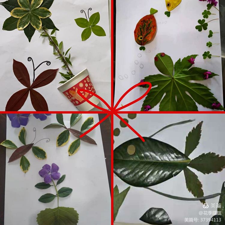 春雨润童心清明祭情怀