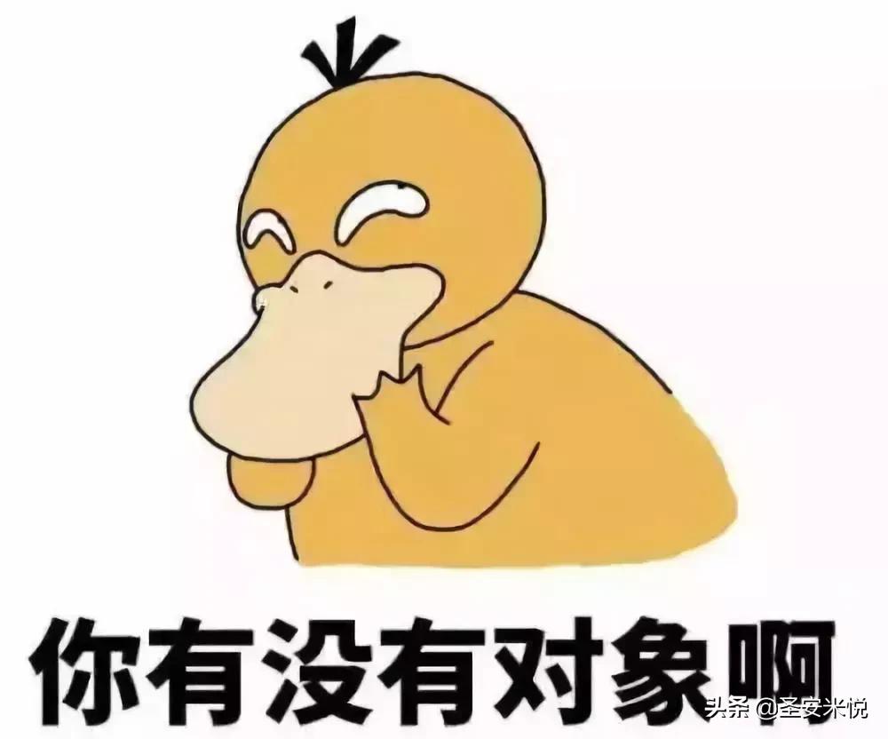 彩虹合唱团春节自救指南完整版,2018春节自救指南