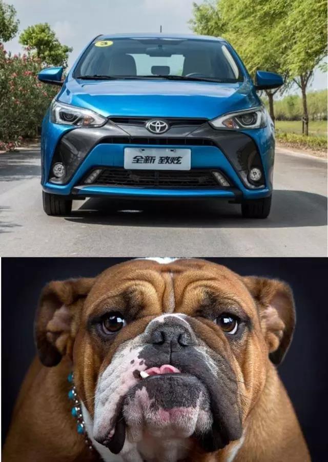 飞度和polo谁更值得买,大众polo2022款和飞度2022谁好