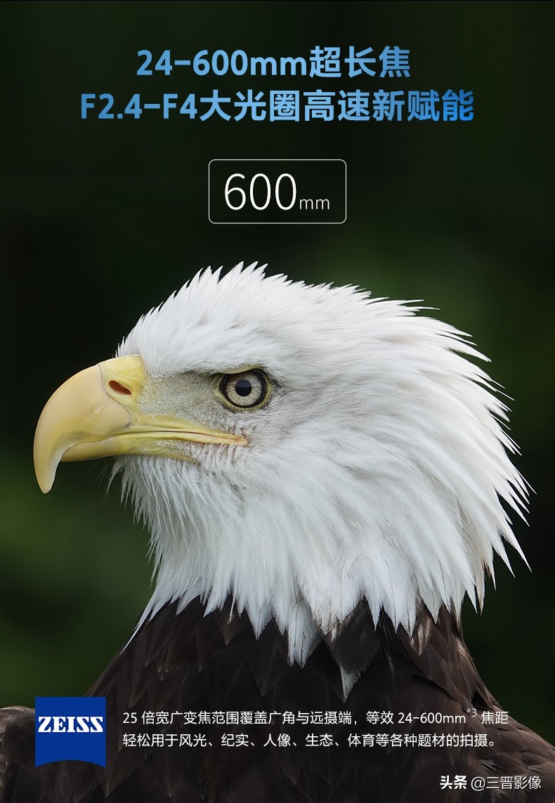 拍鸟设备,10万元拍鸟用什么设备好