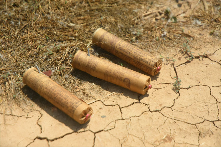 农作物被鸟破坏怎么办,除鸟害最有效方法