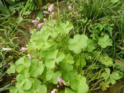 牙疼最好的办法一招教你,牙疼用什么方法快速止疼最有效