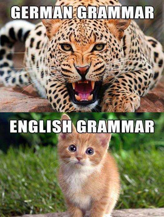 我是怎么自学德语的,我是怎么学习德语的