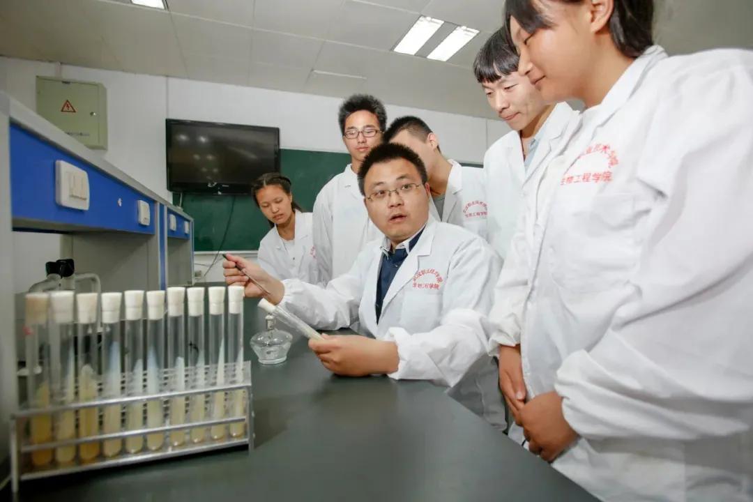 武汉职业学院值得报考吗,武汉职业技术学院推荐