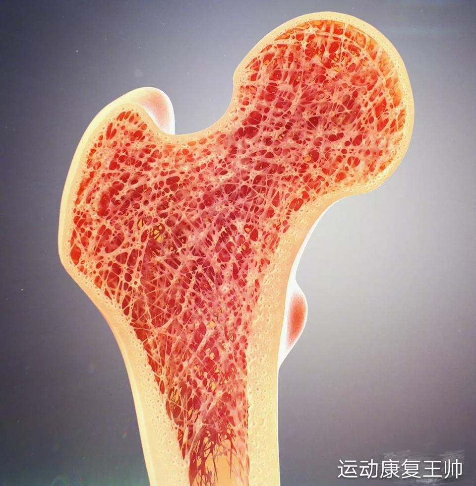 骨折后,人体会经历怎样的变化?