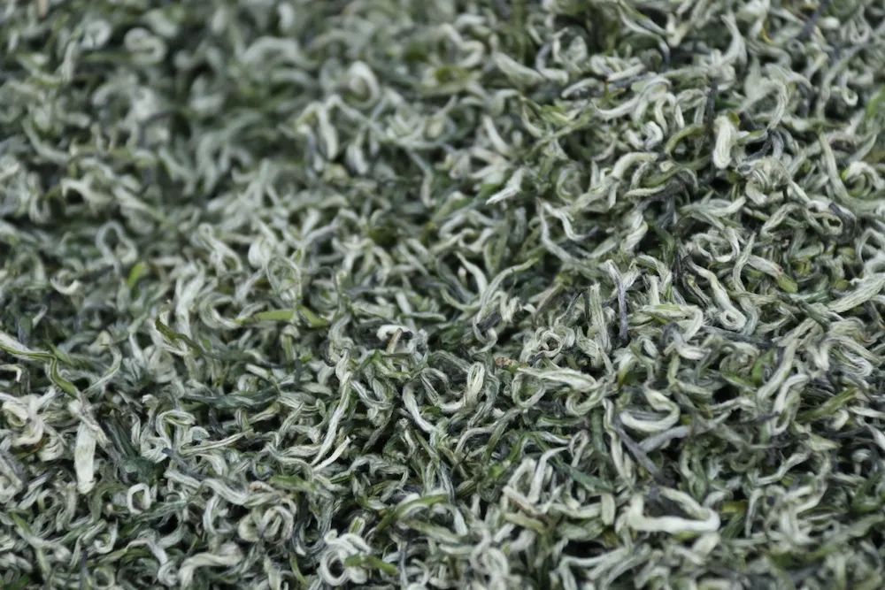 早上6点，去蒙顶山买茶是一种什么体验？