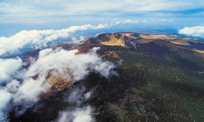 去济州岛回来麻烦吗,去济州岛玩了一趟