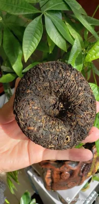 v93澶х泭娌辫尪閴村埆,v93娌辫尪澶х泭鏁寸