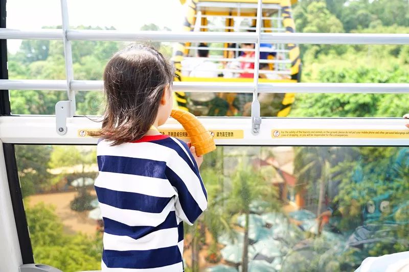 广州旅游攻略长隆动物世界,亲子游广州长隆动物园