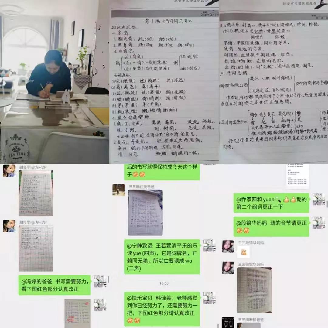 延安兰家坪小学新闻,延安市兰家坪小学排行