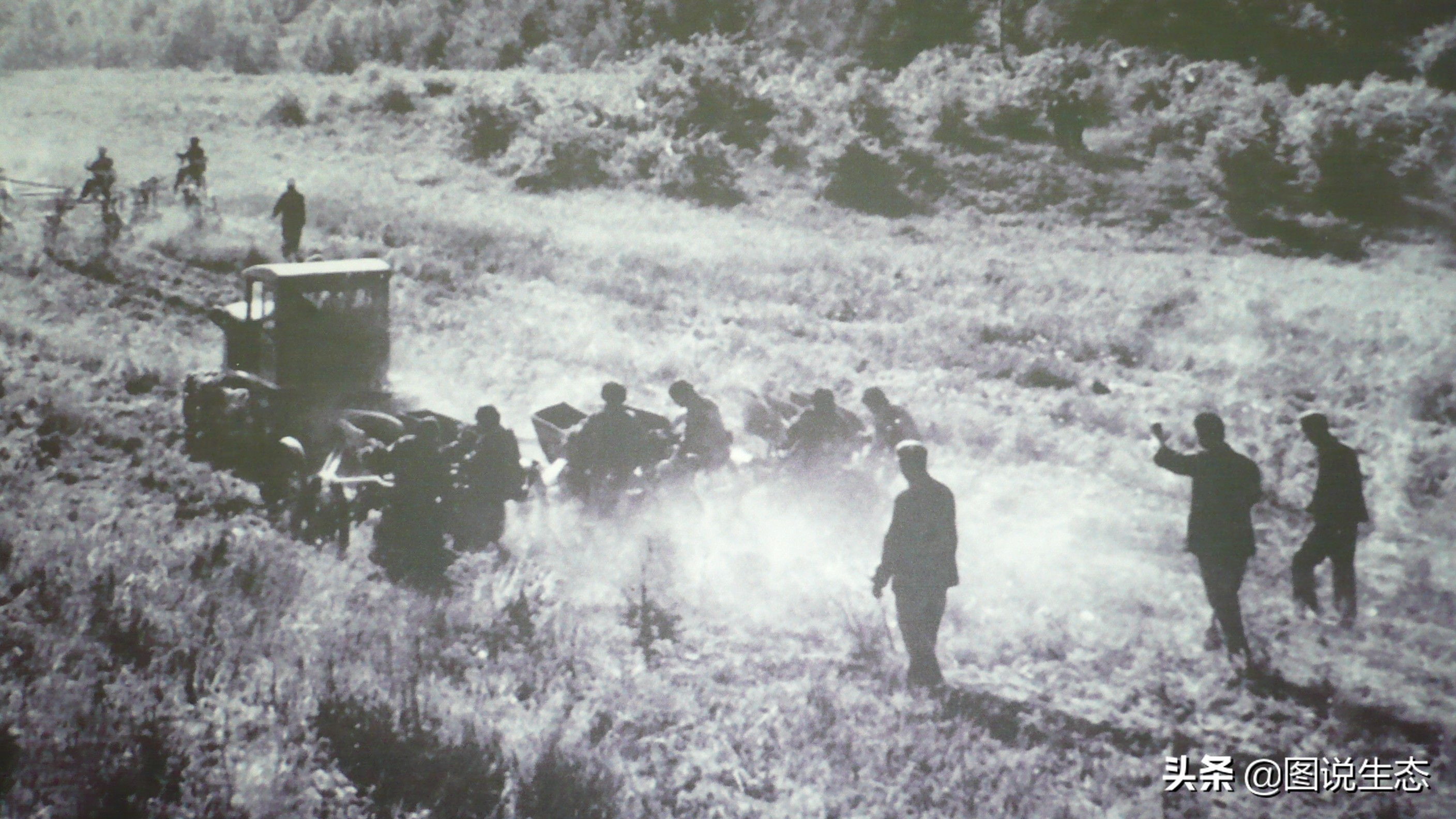 写出最真实的塞罕坝，永远是居住在塞罕坝的主人，请听他们如何说