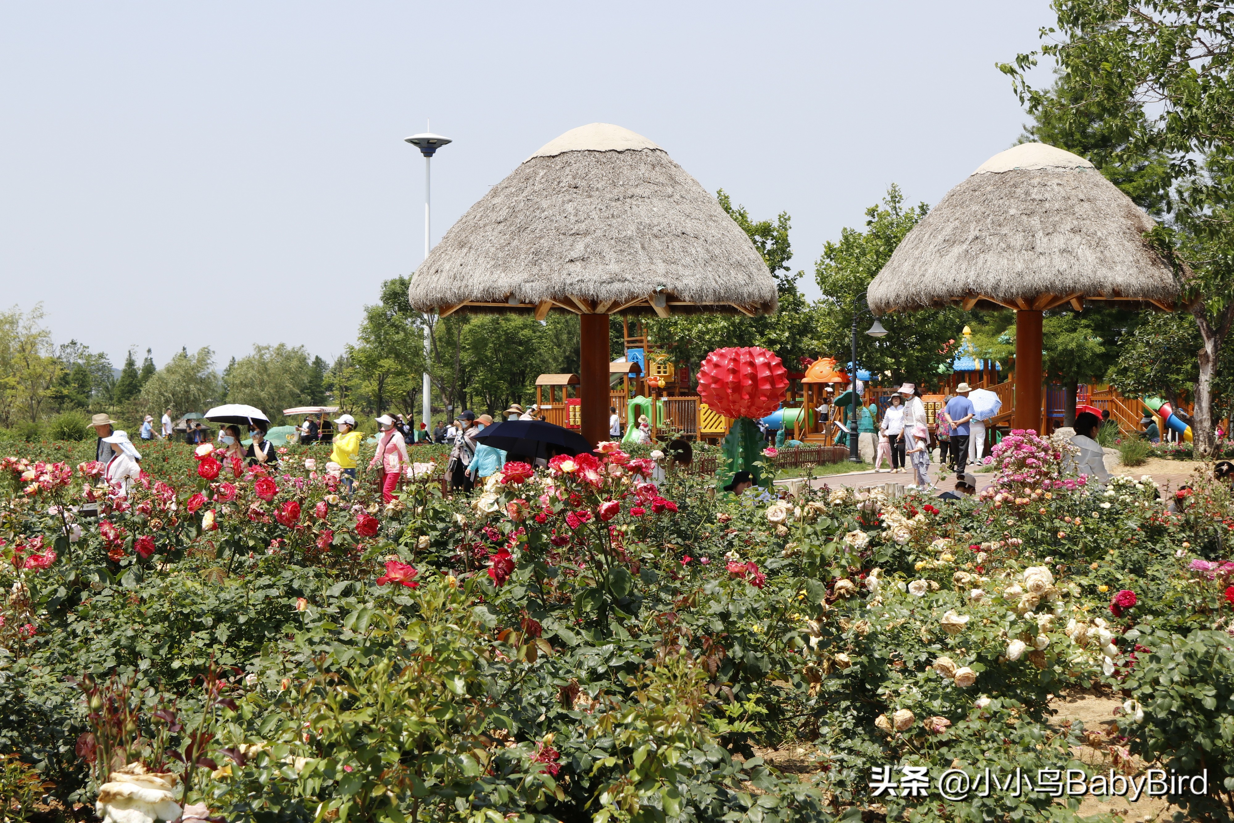 威海羊亭湿地公园,大美河畔