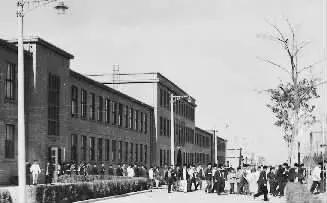 从捡垃圾到世界冠军完整,京东方发展史全过程