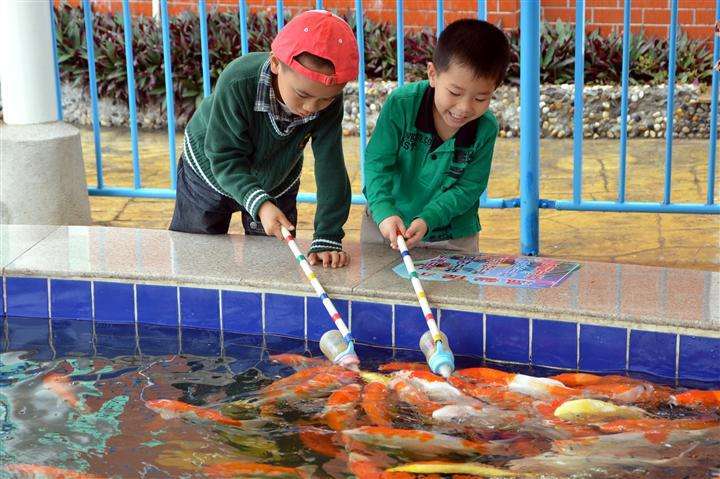 花果山芳香小镇,广州花果山芳香小镇门票多少