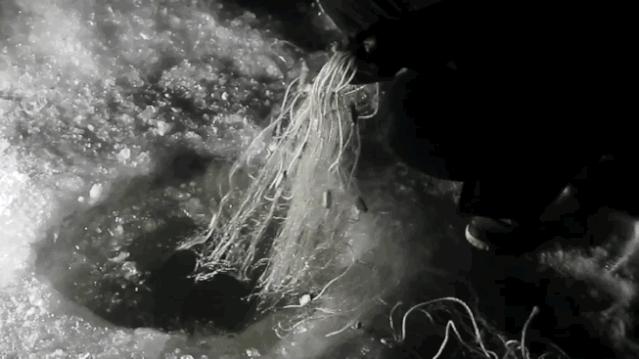 在祖国最东边零下20度的夜里,直播捞鱼