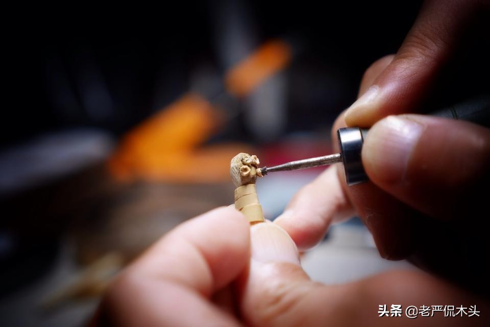 昆虫标本树脂竹节虫,昆虫标本制作竹节虫