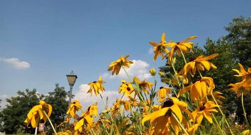 大宗商品现货交易平台,湖北省的大宗商品现货交易平台