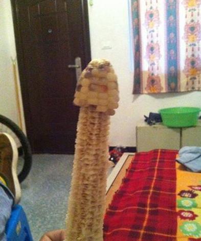 蛇一次交配需要四，五个小时，谁敢说许仙只个文弱书生。