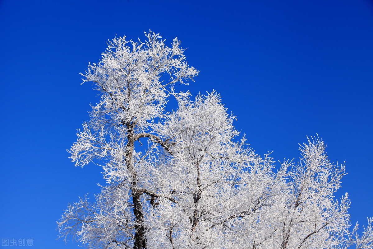 终于凑齐了九宫格照片,傻瓜式九宫格图片